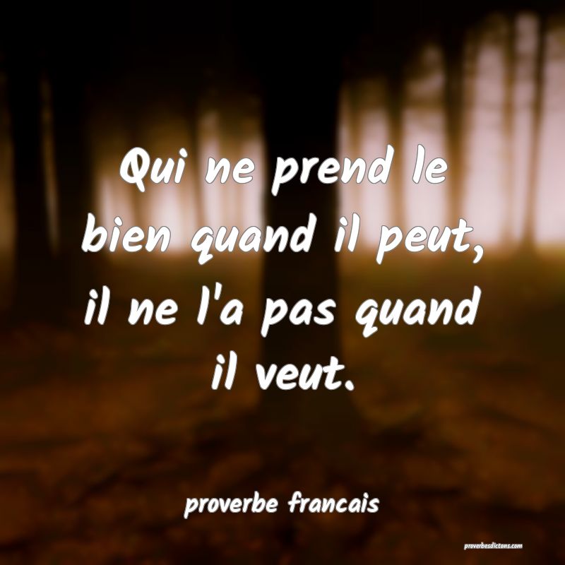 Qui ne prend le bien quand il peut, il ne l'a pas quand il veut.