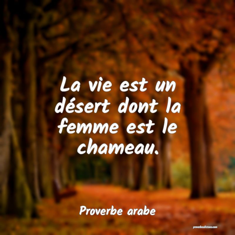 La vie est un désert dont la femme est le chameau.