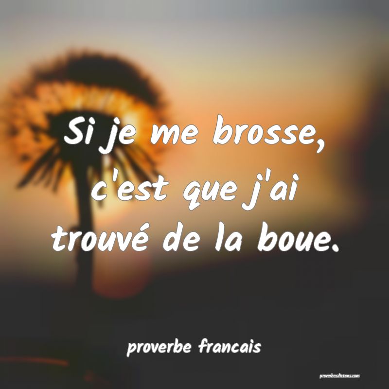 Si je me brosse, c'est que j'ai trouvé de la boue.