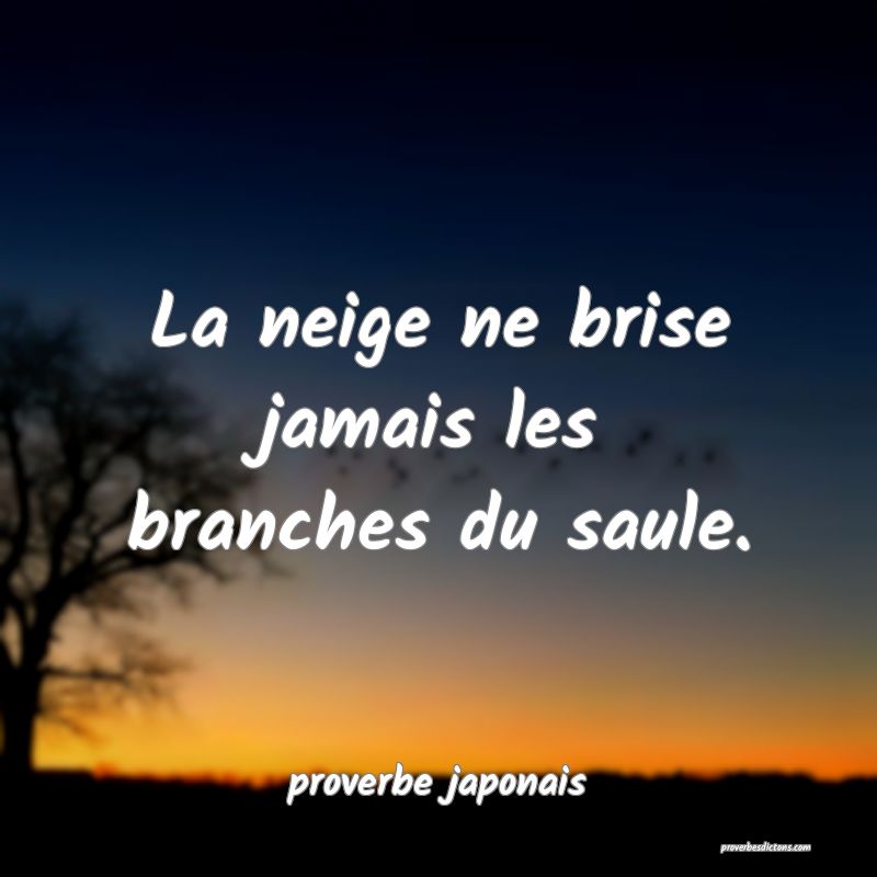 La neige ne brise jamais les branches du saule.