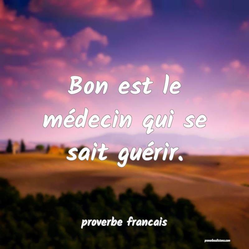 Bon est le médecin qui se sait guérir.