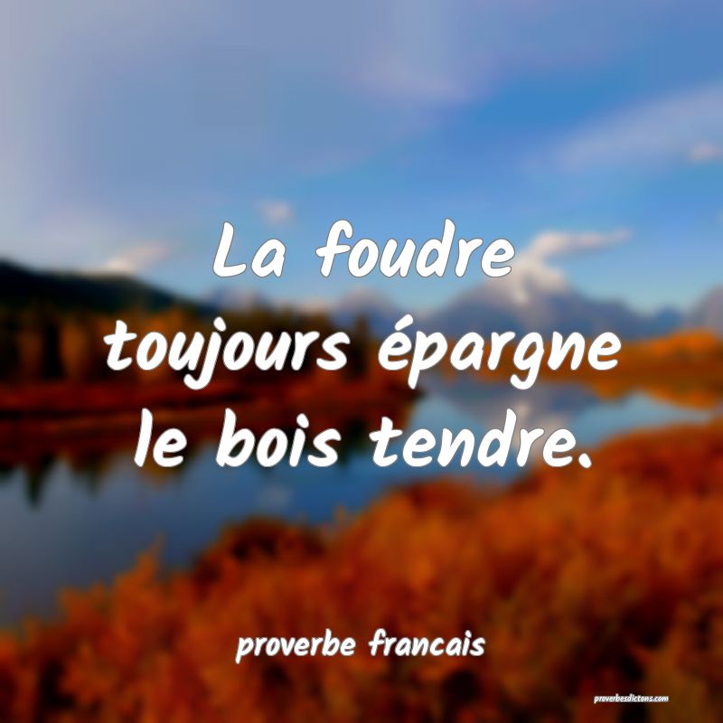 La foudre toujours épargne le bois tendre.