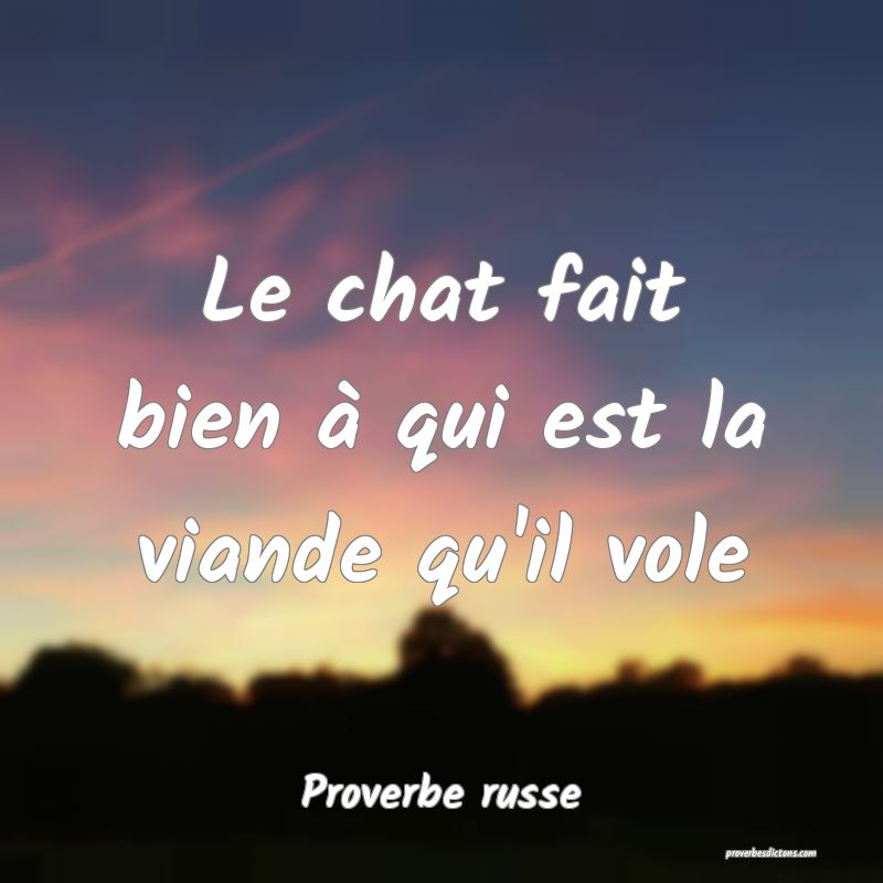 Le chat fait bien à qui est la viande qu'il vole
