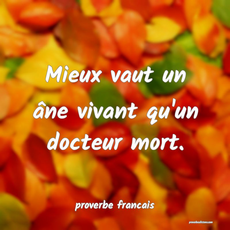 Mieux vaut un âne vivant qu'un docteur mort.