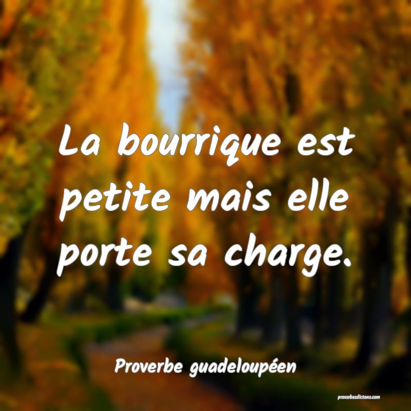 La bourrique est petite mais elle porte sa charge.