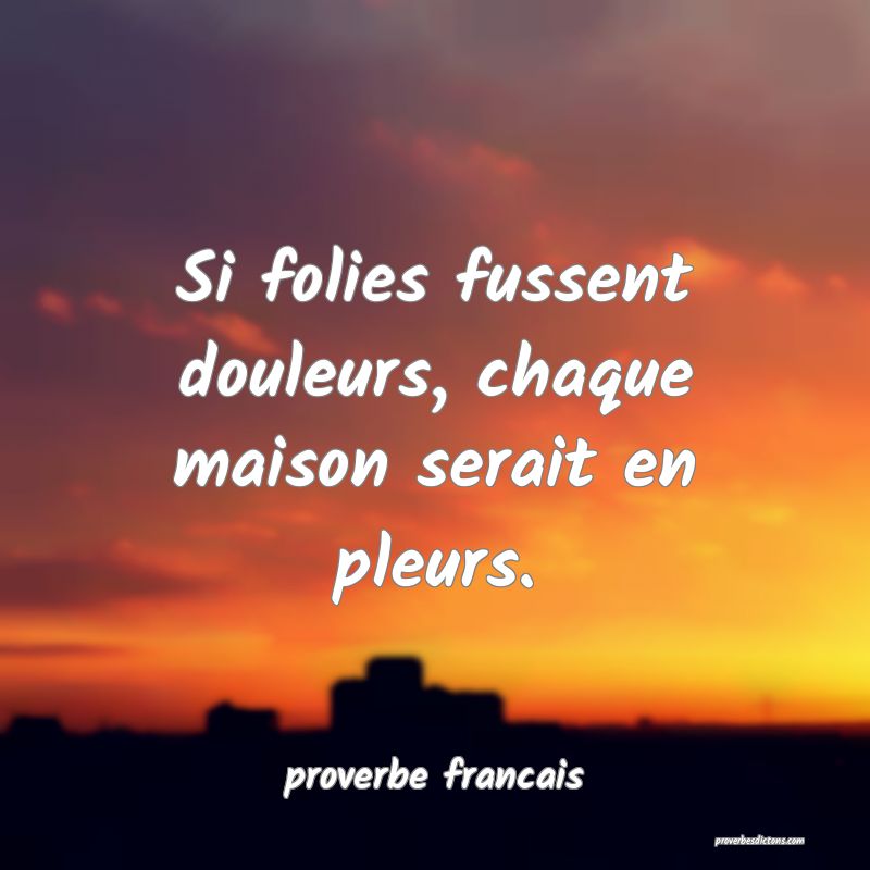 Si folies fussent douleurs, chaque maison serait en pleurs.