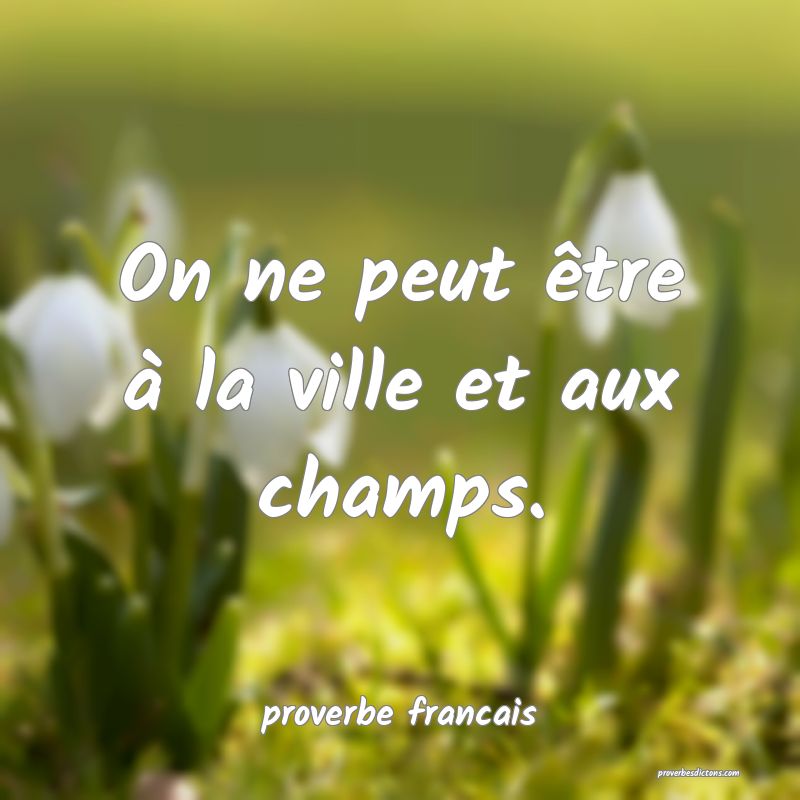 On ne peut être à la ville et aux champs.