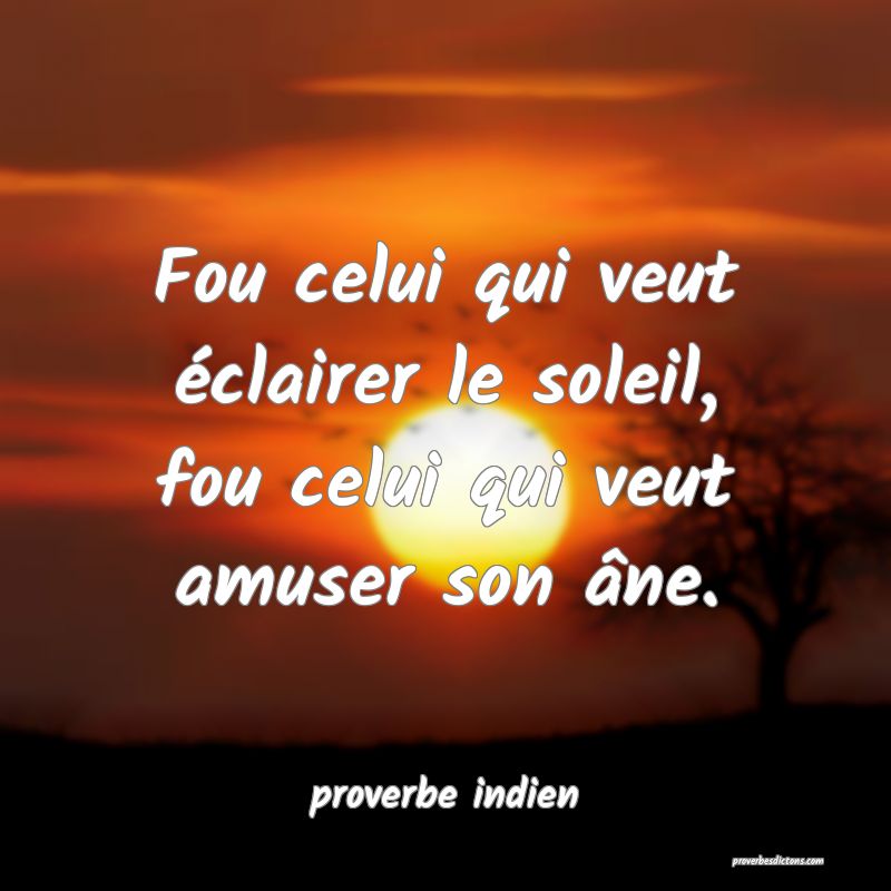 Fou celui qui veut éclairer le soleil, fou celui qui veut amuser son âne.