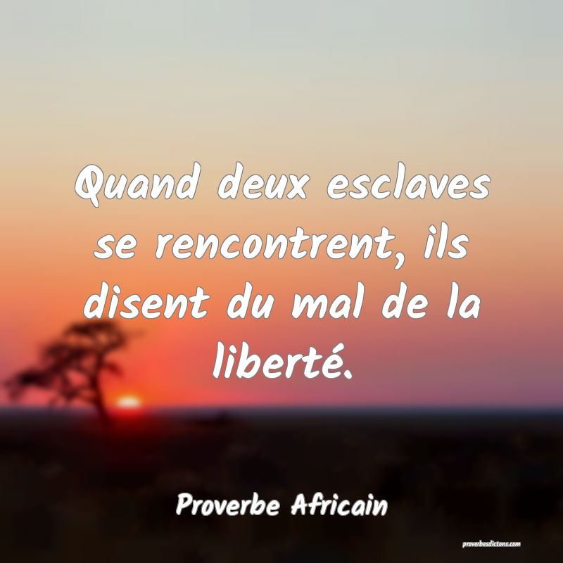 Quand deux esclaves se rencontrent, ils disent du mal de la liberté.