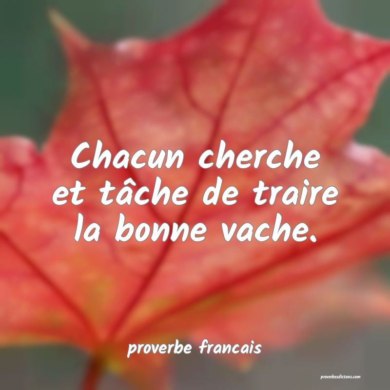 Chacun cherche et tâche de traire la bonne vache.