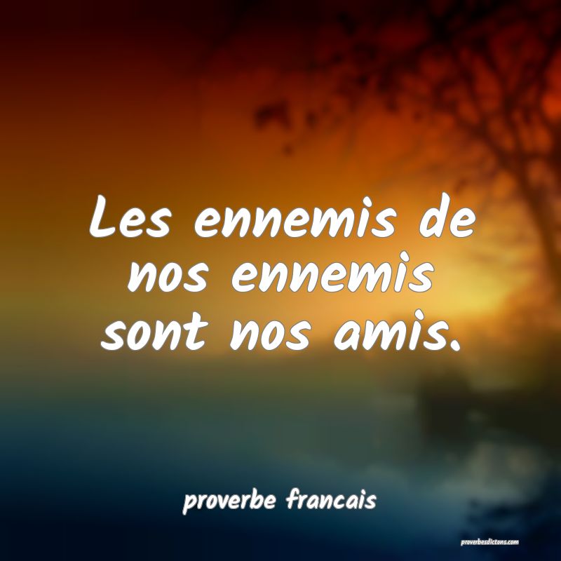 Les ennemis de nos ennemis sont nos amis.