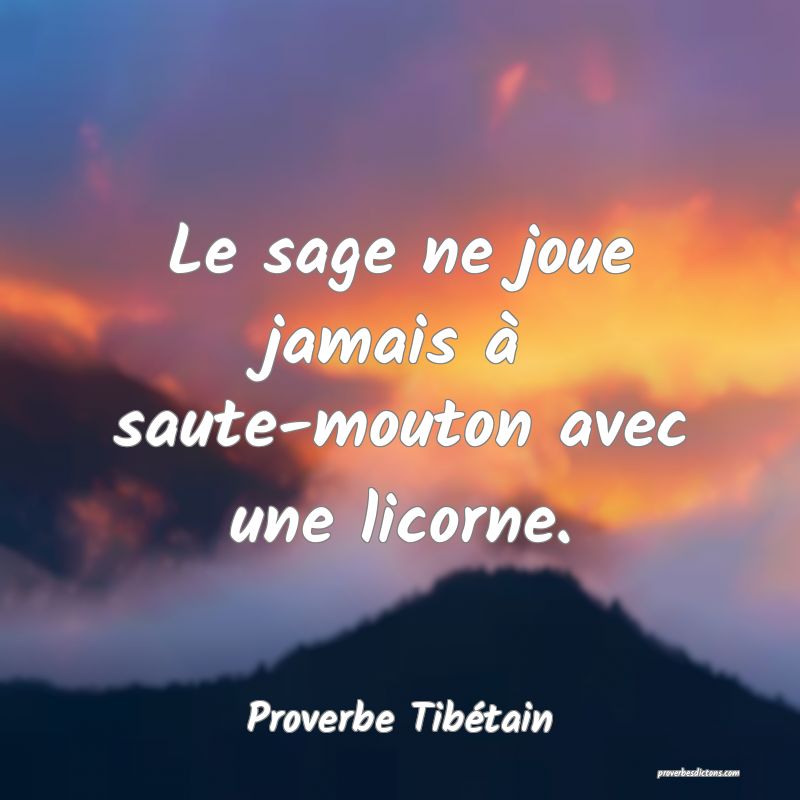 Le sage ne joue jamais à saute-mouton avec une licorne.