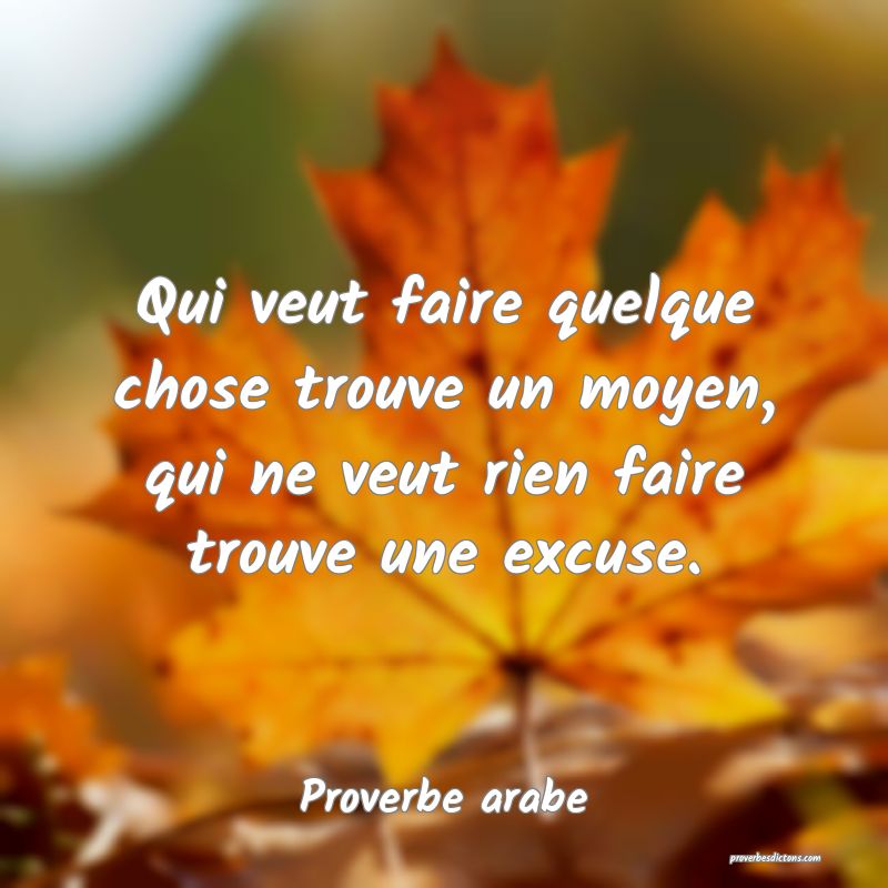 Qui veut faire quelque chose trouve un moyen, qui ne veut rien faire trouve une excuse.