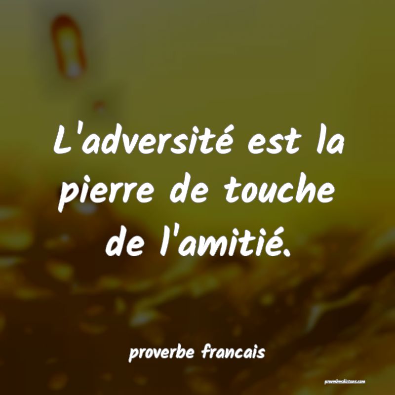 L'adversité est la pierre de touche de l'amitié.