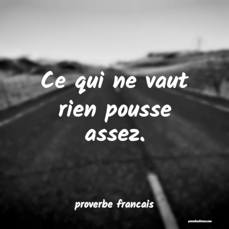Ce qui ne vaut rien pousse assez.