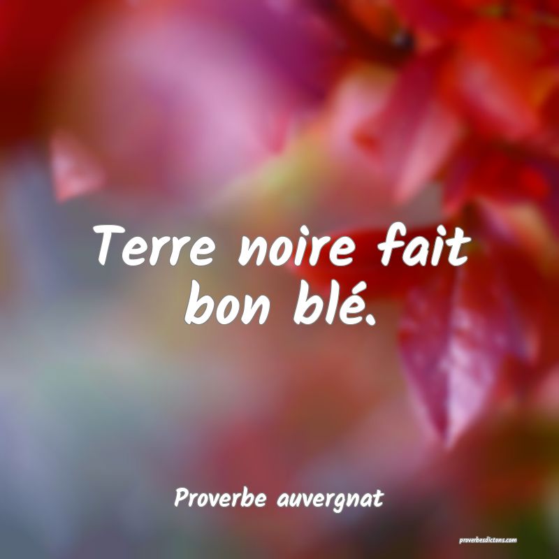 Terre noire fait bon blé.