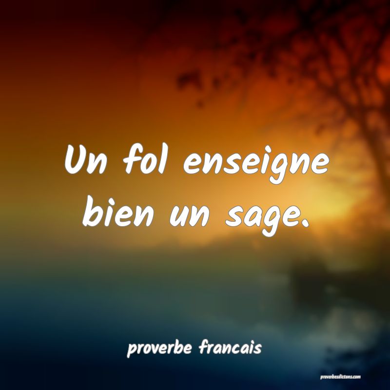 Un fol enseigne bien un sage.