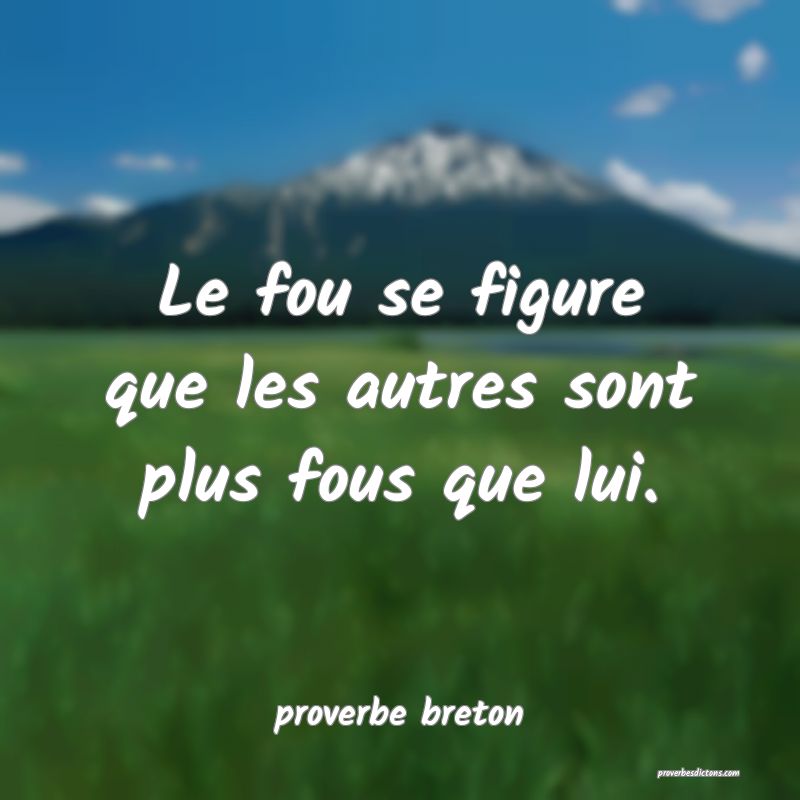  Le fou se figure que les autres sont plus fous que lui.