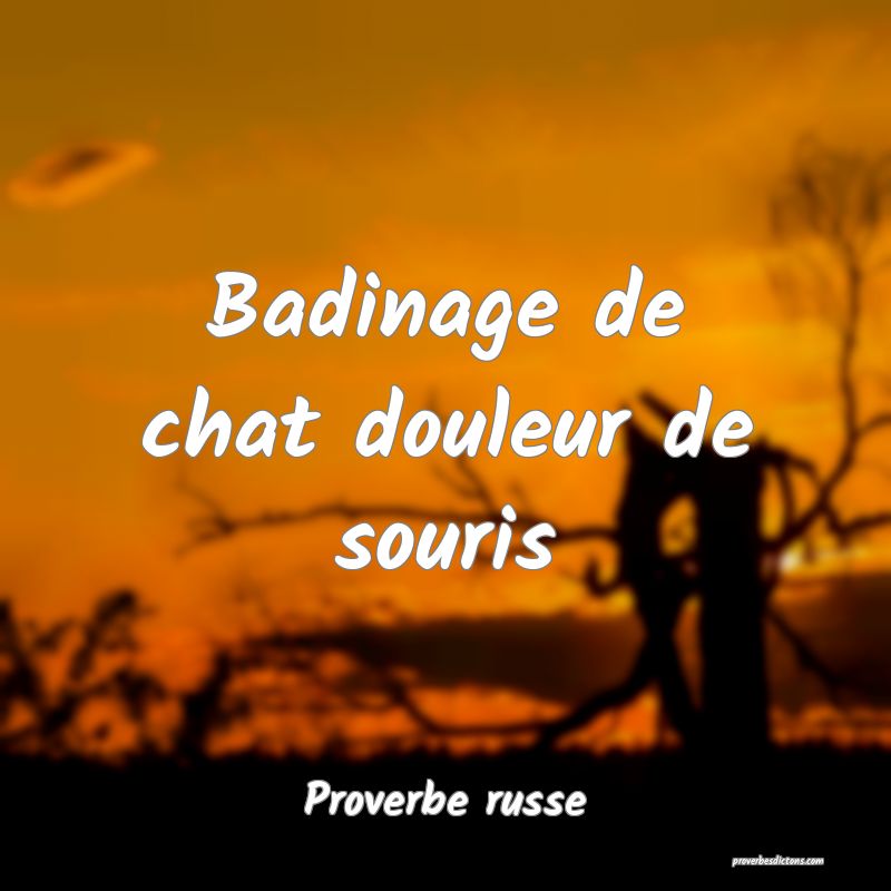  Badinage de chat douleur de souris
