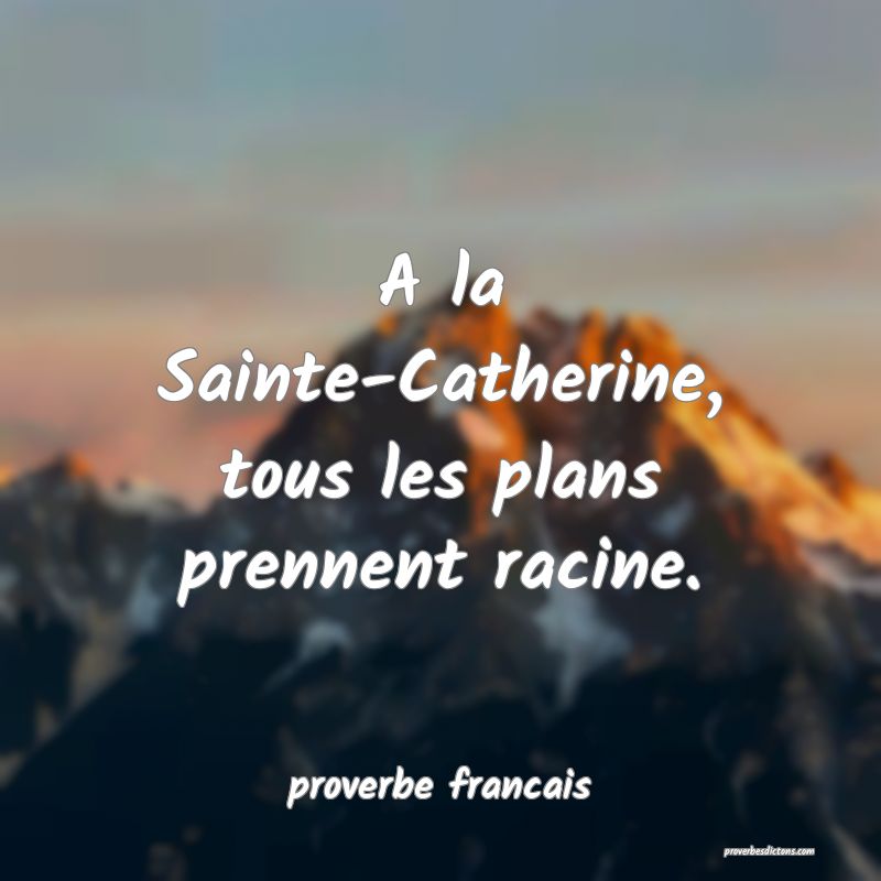 A la Sainte-Catherine, tous les plans prennent racine.