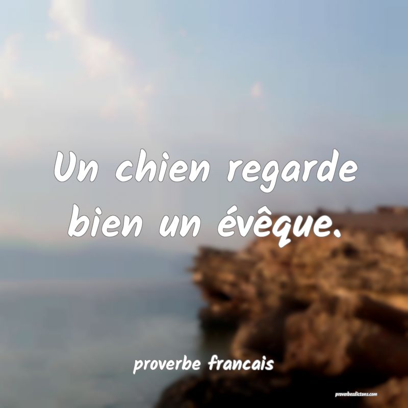 Un chien regarde bien un évêque.