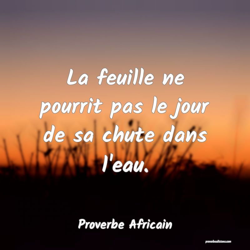 La feuille ne pourrit pas le jour de sa chute dans l'eau.