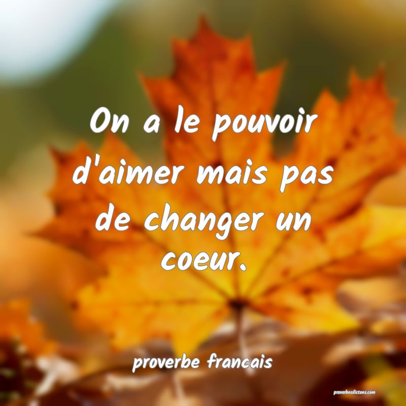 On a le pouvoir d'aimer mais pas de changer un coeur.