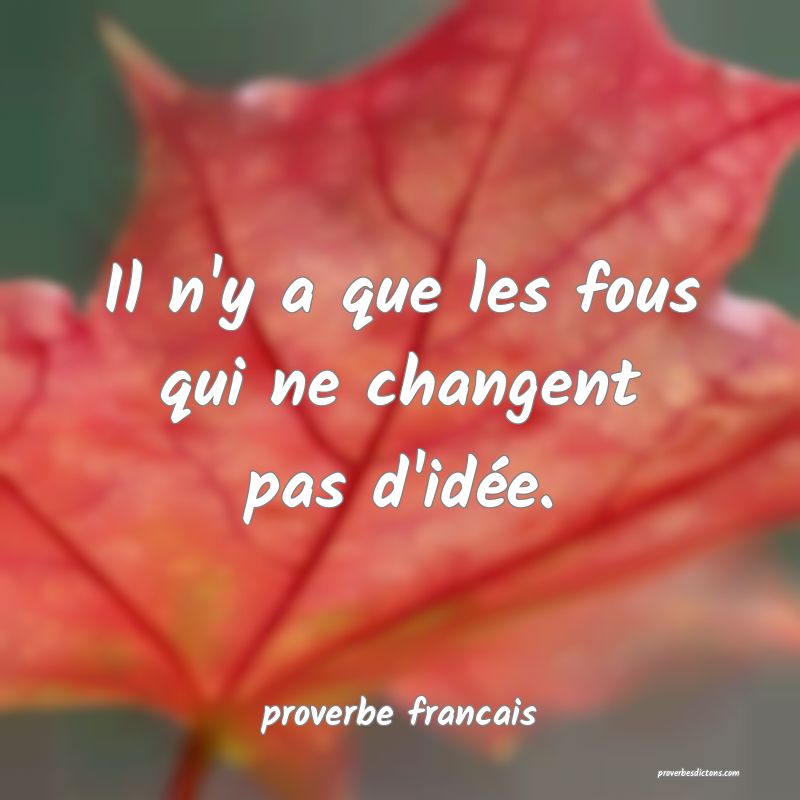 Il n'y a que les fous qui ne changent pas d'idée.