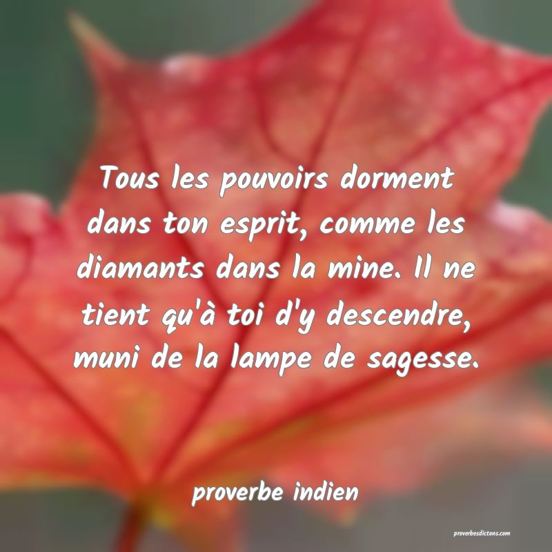 Tous les pouvoirs dorment dans ton esprit, comme les diamants dans la mine. Il ne tient qu'à toi d'y descendre, muni de la lampe de sagesse.