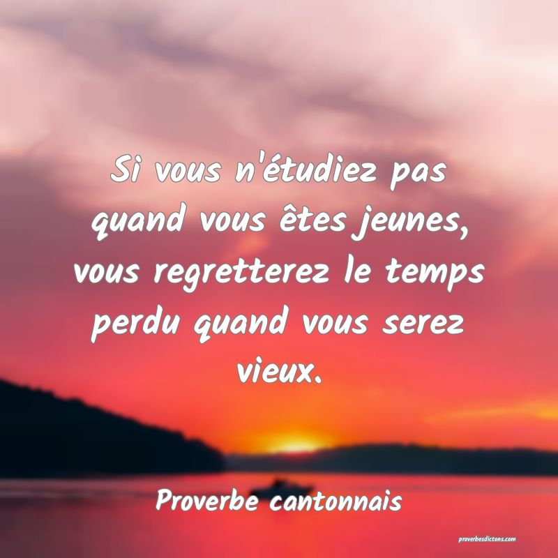 Si vous n'étudiez pas quand vous êtes jeunes, vous regretterez le temps perdu quand vous serez vieux.