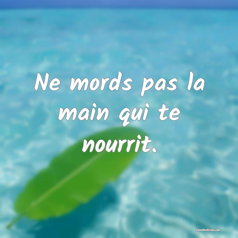Ne mords pas la main qui te nourrit.