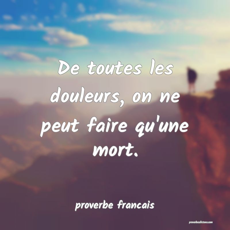 De toutes les douleurs, on ne peut faire qu'une mort.