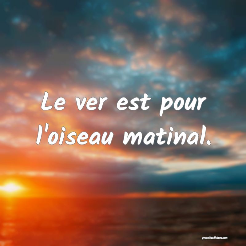 Le ver est pour l'oiseau matinal.