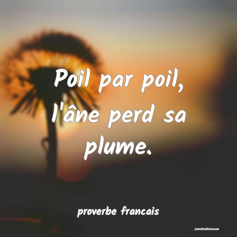 Poil par poil, l'âne perd sa plume.