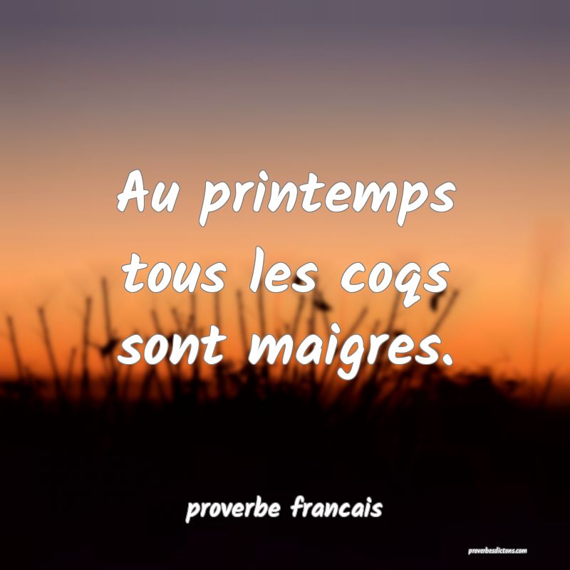  Au printemps tous les coqs sont maigres.