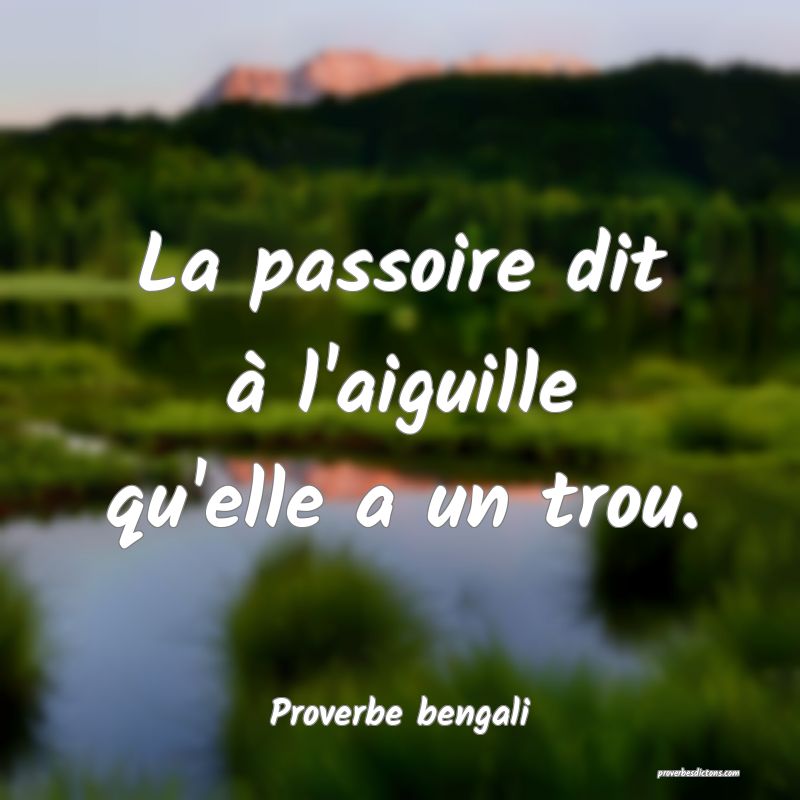 La passoire dit à l'aiguille qu'elle a un trou.