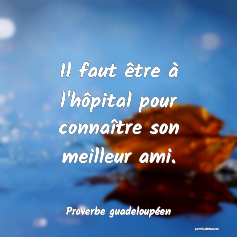 Il faut être à l'hôpital pour connaître son meilleur ami.