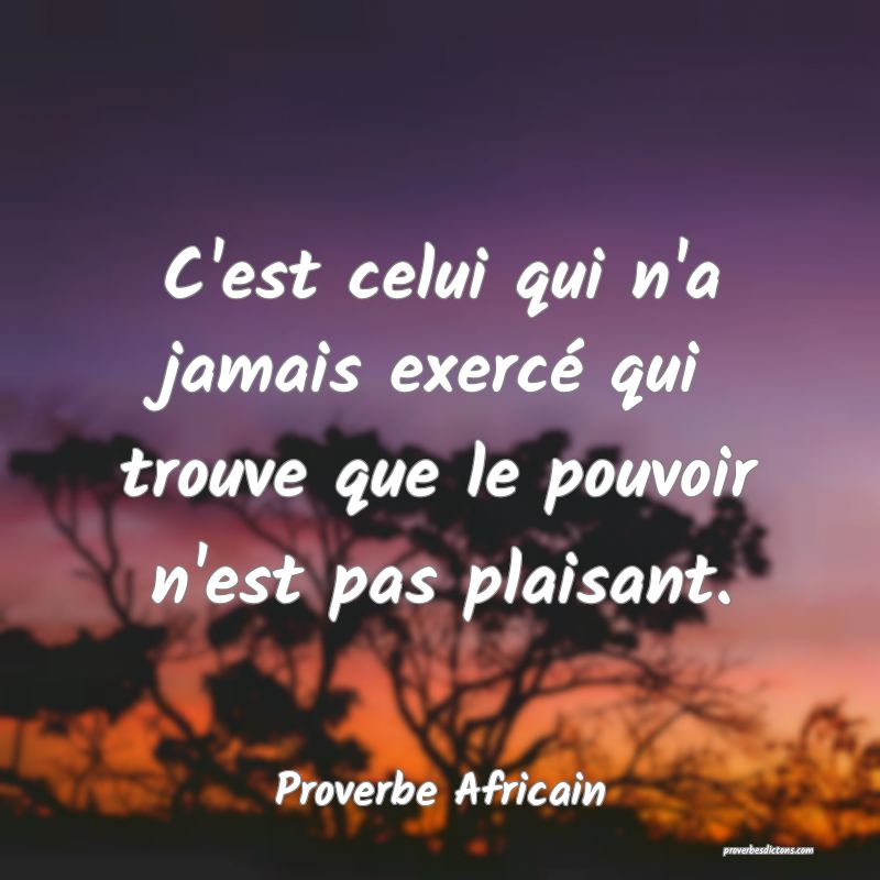 C'est celui qui n'a jamais exercé qui trouve que le pouvoir n'est pas plaisant.