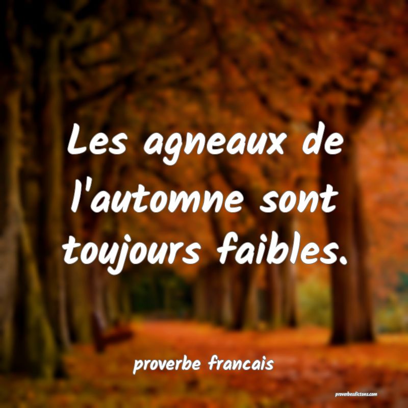  Les agneaux de l'automne sont toujours faibles.