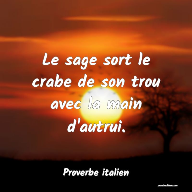 Le sage sort le crabe de son trou avec la main d'autrui.