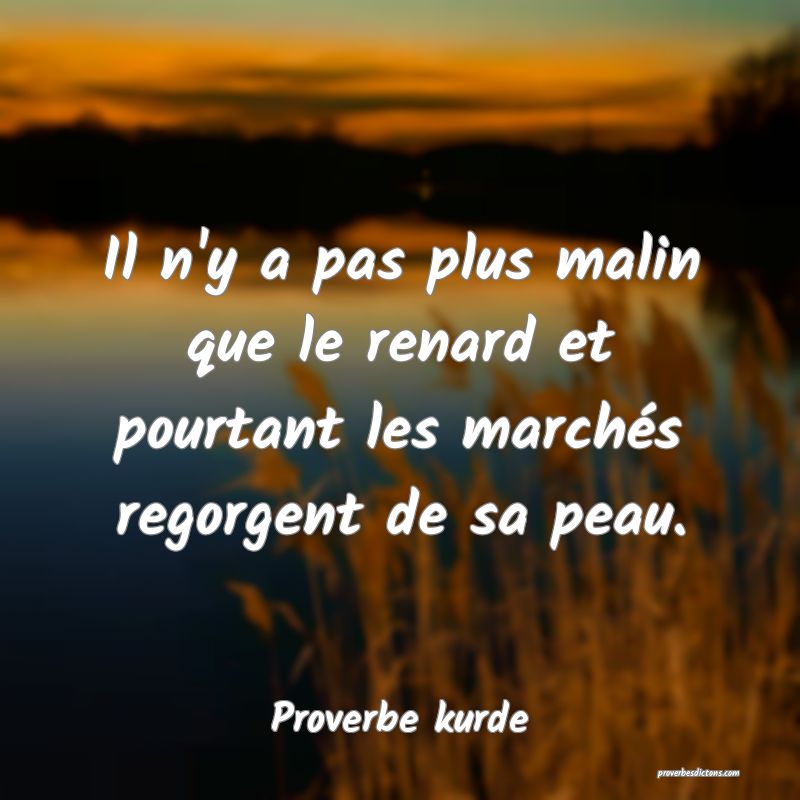 Il n'y a pas plus malin que le renard et pourtant les marchés regorgent de sa peau.