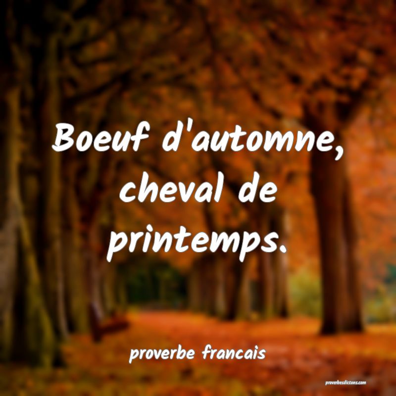  Boeuf d'automne, cheval de printemps.