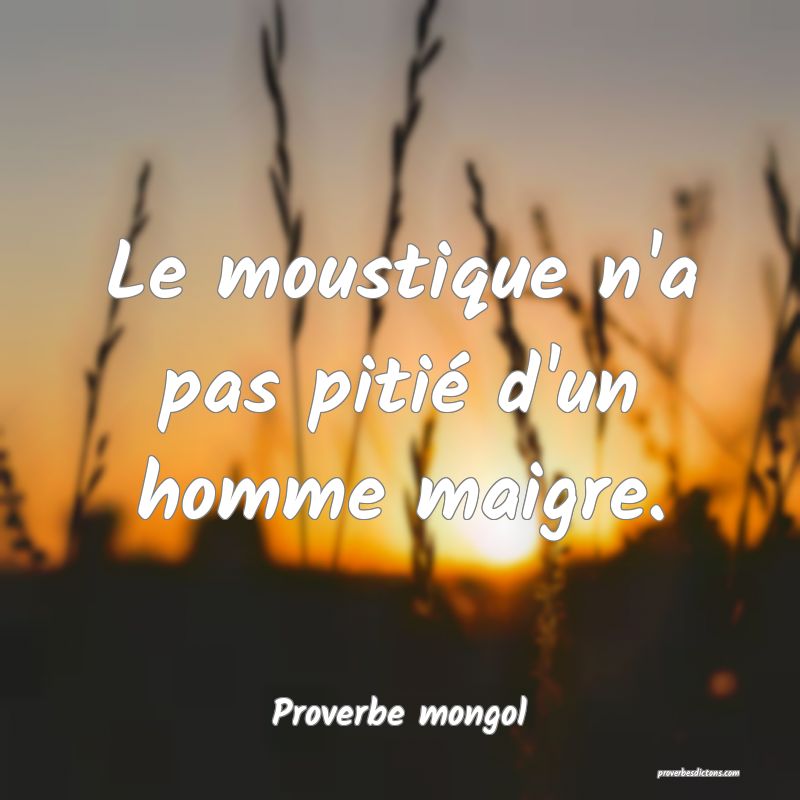 Le moustique n'a pas pitié d'un homme maigre.