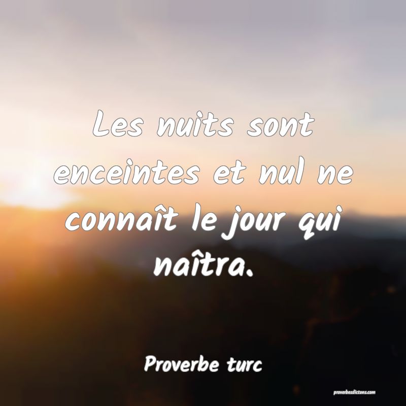 Les nuits sont enceintes et nul ne connaît le jour qui naîtra.