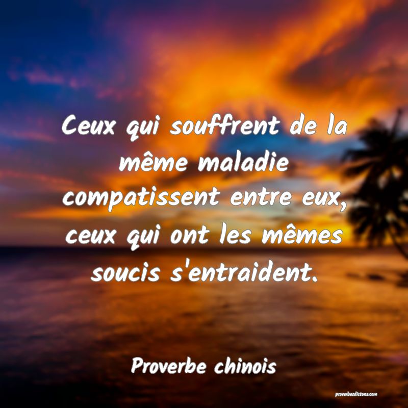 Ceux qui souffrent de la même maladie compatissent entre eux, ceux qui ont les mêmes soucis s'entraident.