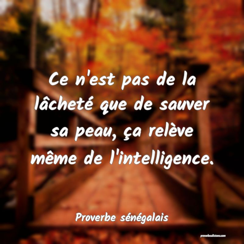 Ce n'est pas de la lâcheté que de sauver sa peau, ça relève même de l'intelligence.