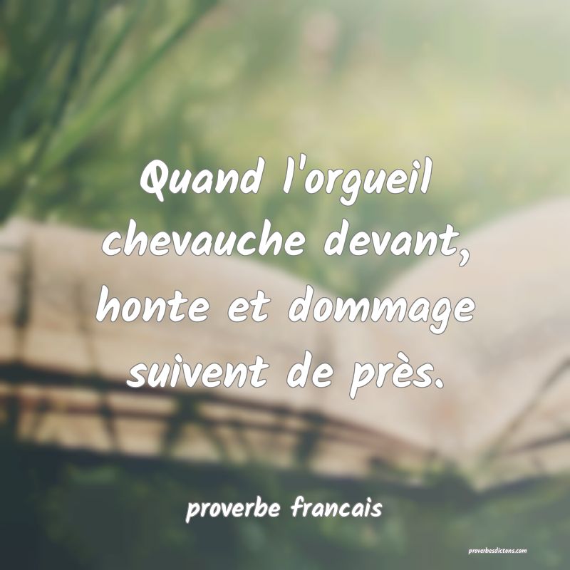 Quand l'orgueil chevauche devant, honte et dommage suivent de près.