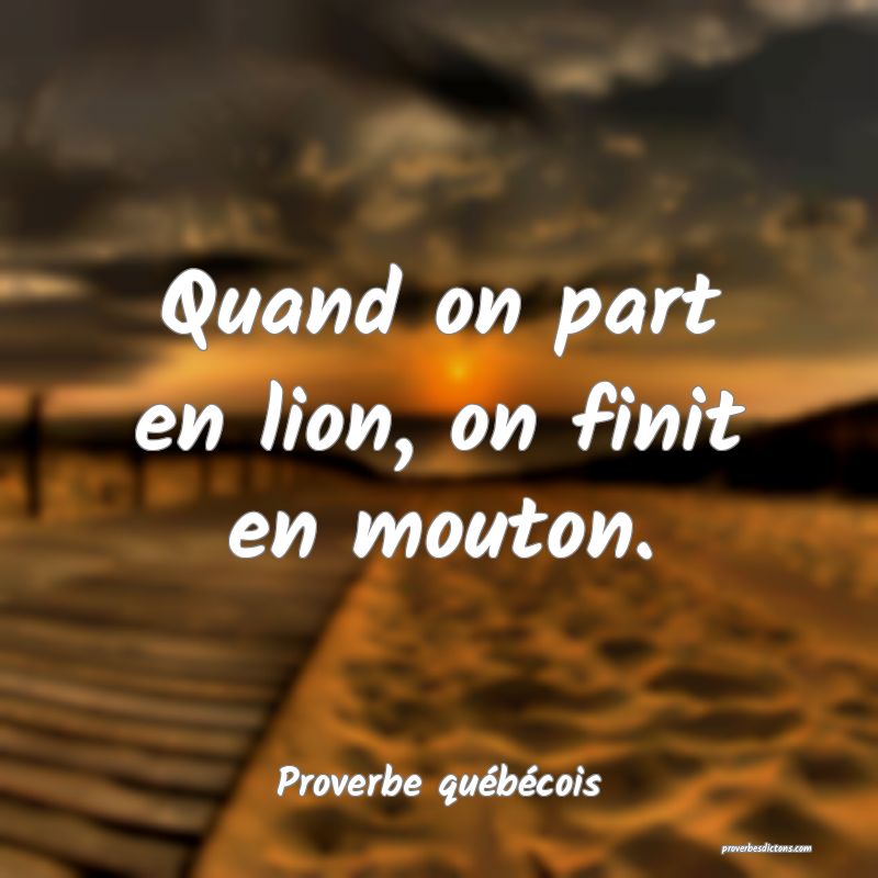  Quand on part en lion, on finit en mouton.