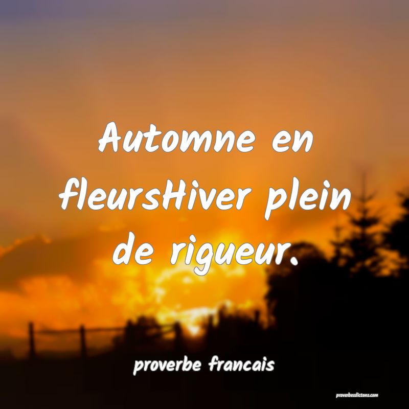  Automne en fleursHiver plein de rigueur.