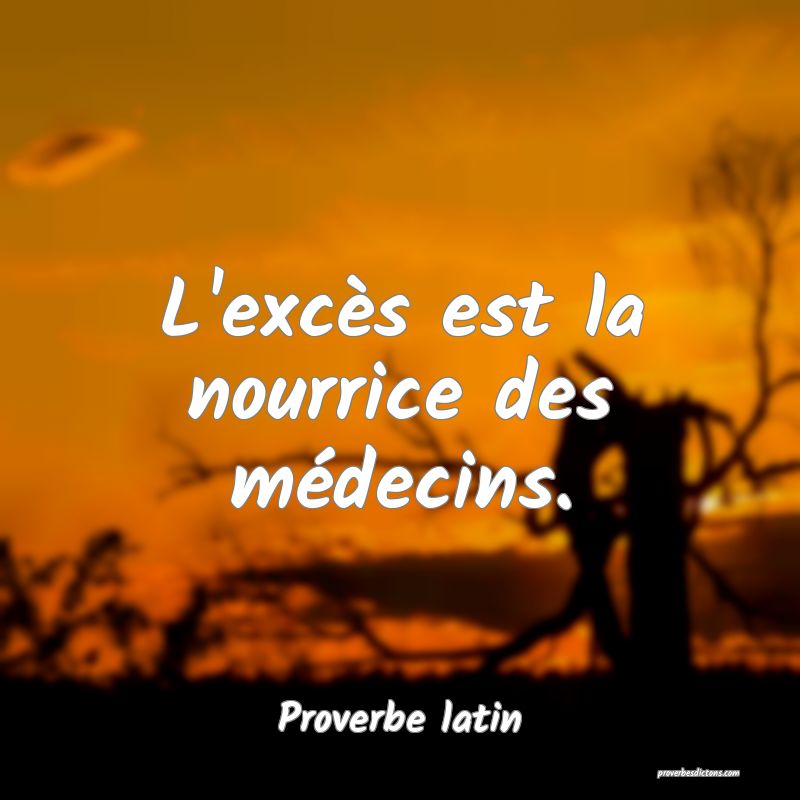 L'excès est la nourrice des médecins.